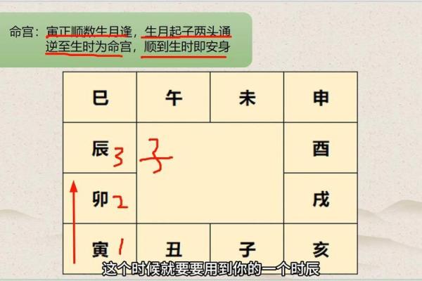 紫薇斗数免费排盘华易