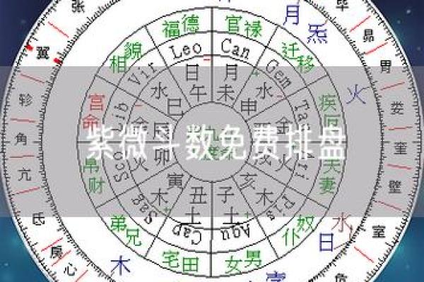 紫薇斗数免费排盘华易