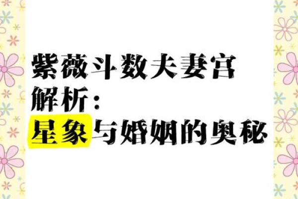 紫薇斗数离婚的