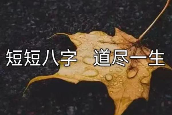 八字性格爱热闹 八字喜欢热闹吗