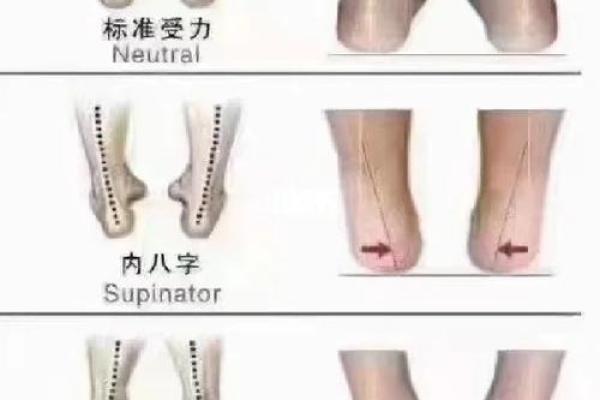 四岁内八字