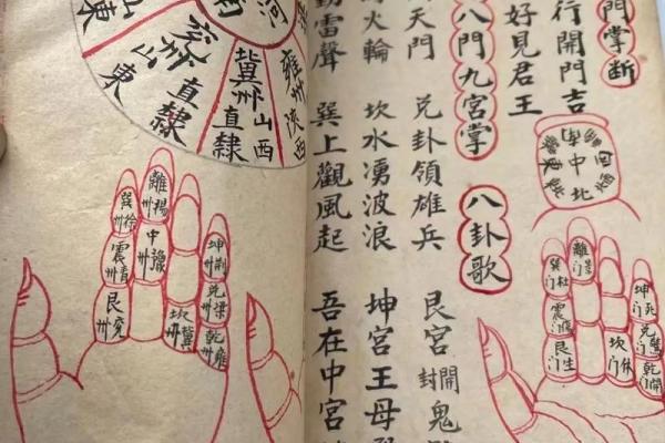 紫薇斗数掌决