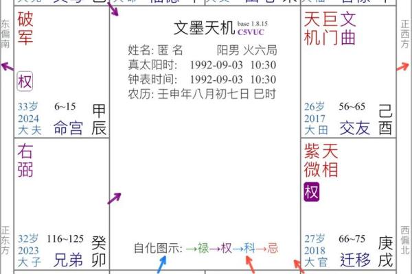 紫薇斗数事业详细解释