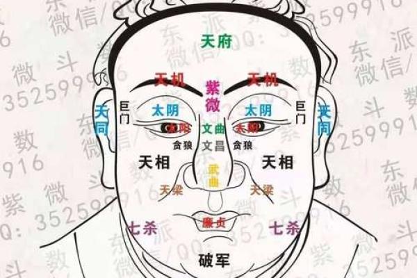 紫微斗数十四主星：天机星概论