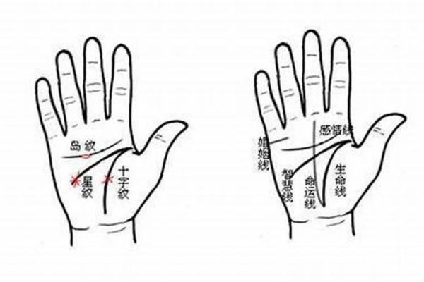 男人断掌手纹算命图解