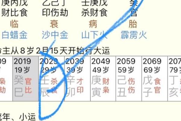 八字看财星
