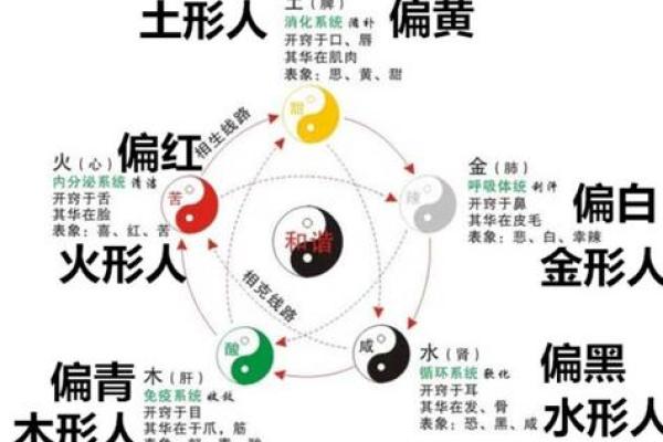 八字看健康；和中医的共通之处