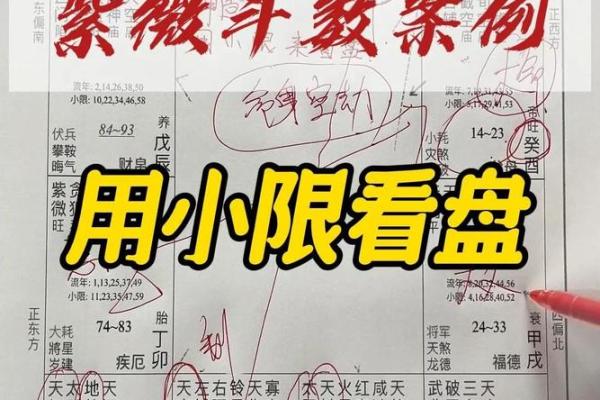 台湾紫微斗数小限派 紫微斗数小限排盘？