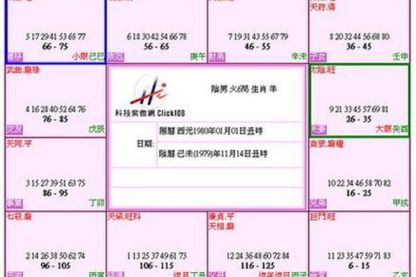 台湾紫微斗数小限派 紫微斗数小限排盘？