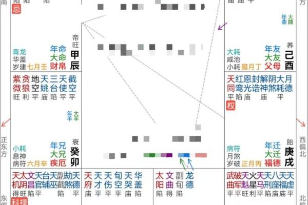 雪天紫薇斗数排盘软件