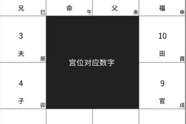 雪天紫薇斗数排盘软件