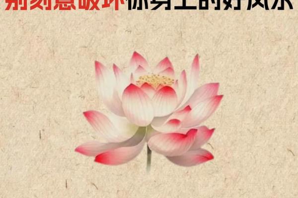 6招小风水助旺孩子学业运，家长必看！