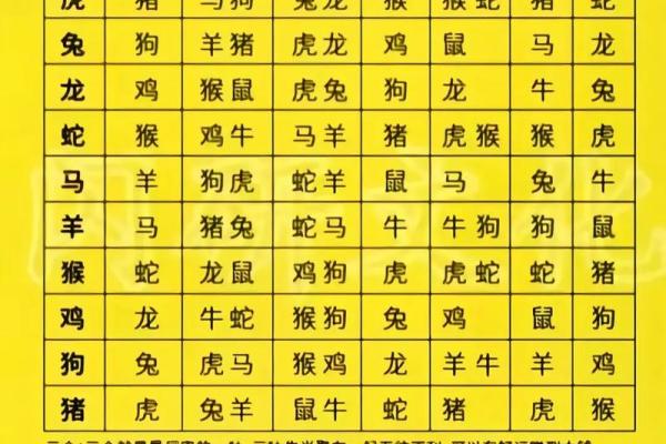 免费算命中有几个孩子