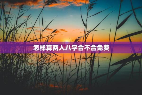在线测八字,测算两人八字合不合