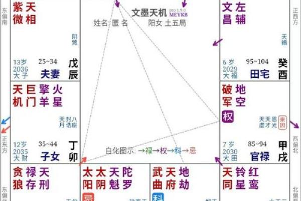 紫薇斗数中的加什么意思