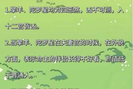 紫微斗数之夫妻宫与诸星，七杀星在夫妻宫是什么意思？
