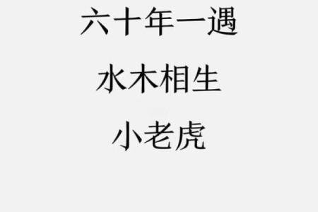 取名网免费姓名测试,虎宝宝取名心字好不好