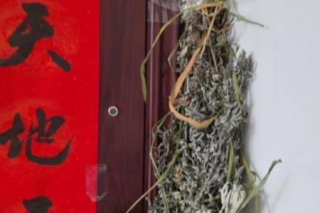 艾叶干了还能挂门上吗还有风水效果吗