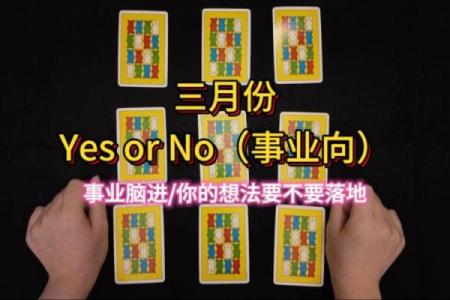 塔罗测试：年底前，职场事业需要注意什么？