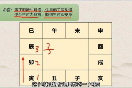 紫薇斗数免费排盘华易