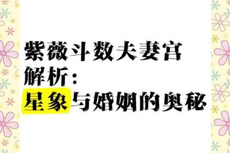 紫薇斗数离婚的