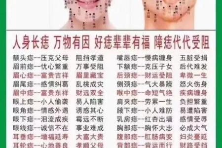 面相额头痣相图解算命