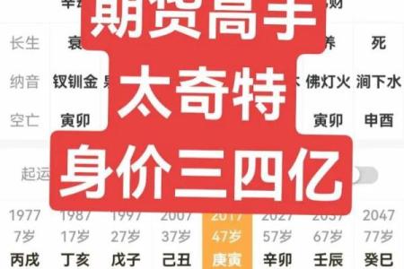 八字高手