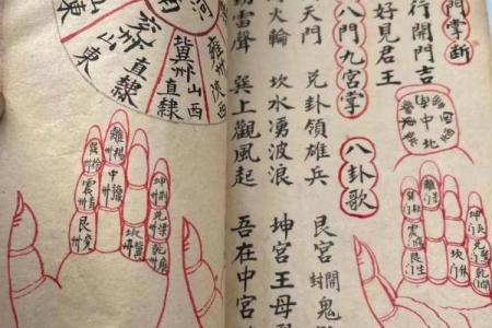 紫薇斗数掌决