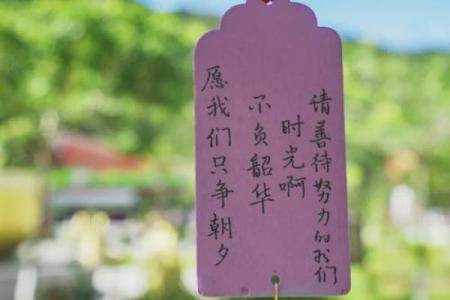 观察在线灵签