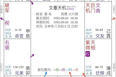 紫薇斗数事业详细解释