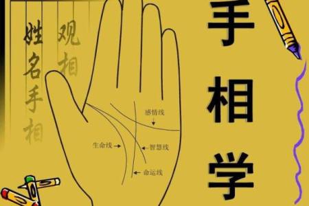男人断掌手纹算命图解