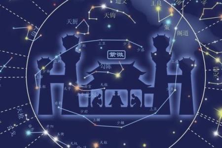 紫薇斗数星解