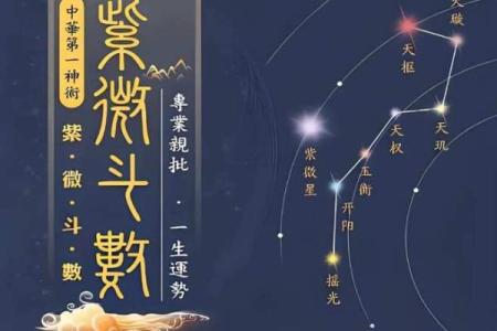 紫薇斗数科