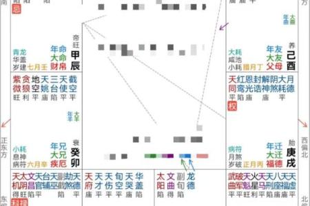 雪天紫薇斗数排盘软件