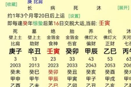 免费算命中有几个孩子