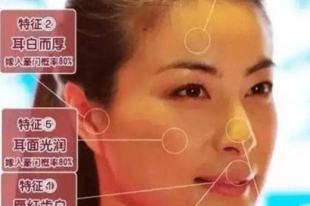 相面算命看见鼻孔好吗