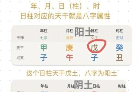 八字排宝盘