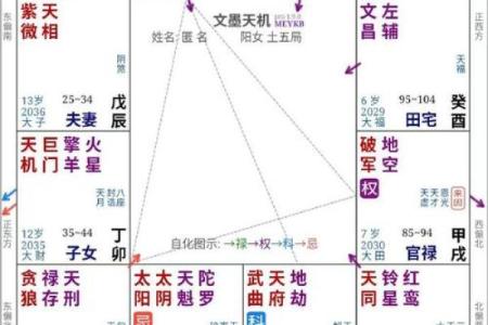 紫薇斗数中的加什么意思
