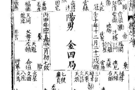 中洲紫薇斗数