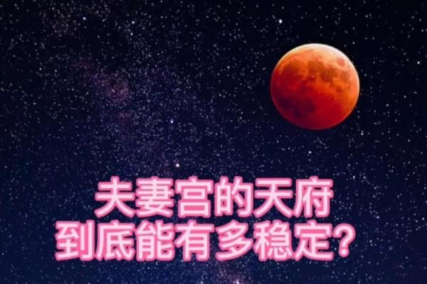 紫微斗数之夫妻宫与诸星，天府星在夫妻宫是什么意思？