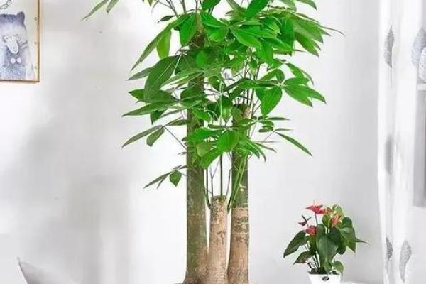 客厅装修风水应该如何才能聚财