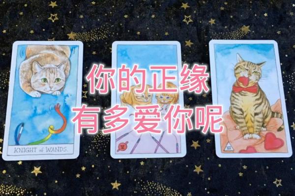 塔罗测试我的宿命正缘