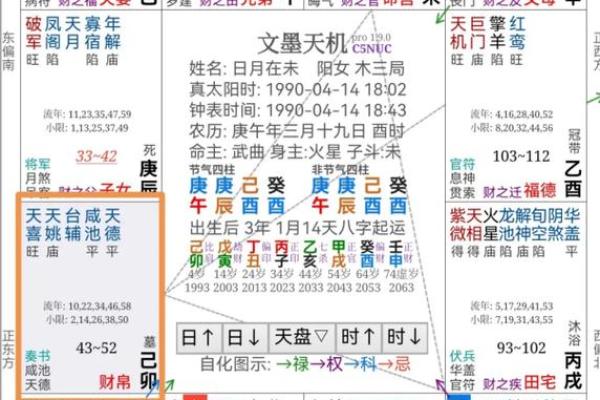紫薇斗数创业流年