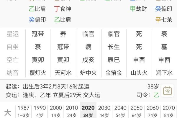 怎样从2个八字看学历？