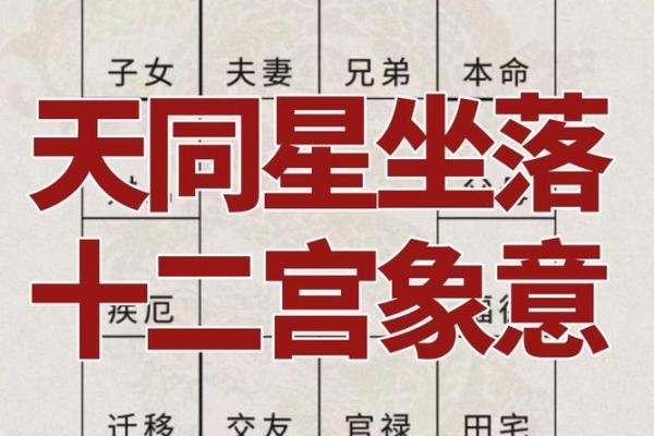 紫薇斗数田宅宫看富贵层次