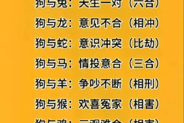 八字合婚 鼠和狗的属相适合做夫妻吗