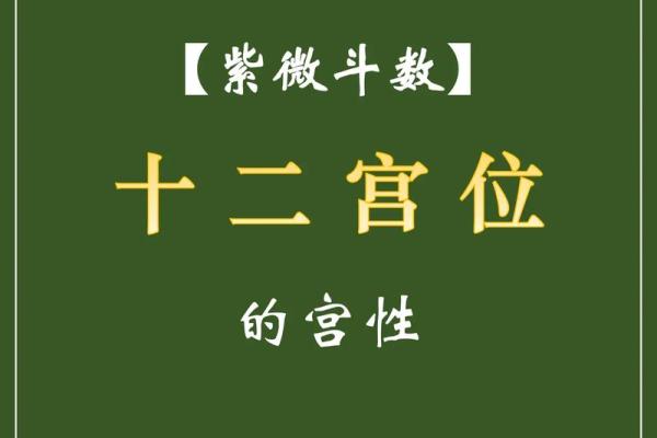 紫薇斗数各宫箭头