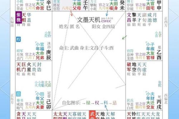 飞星紫微斗数原旨（斗数观测录）