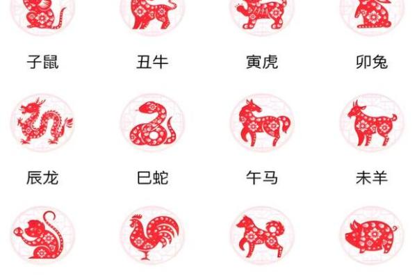 生肖和八字