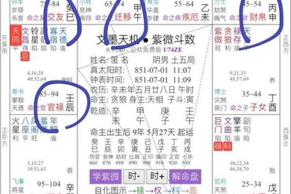 紫薇斗数apk